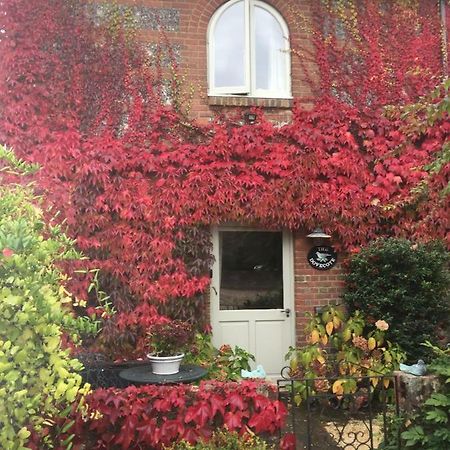 The Dovecote, Stoke Farthing Courtyard Villa Broad Chalke Екстериор снимка