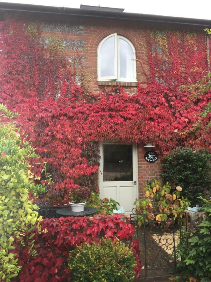 The Dovecote, Stoke Farthing Courtyard Villa Broad Chalke Екстериор снимка